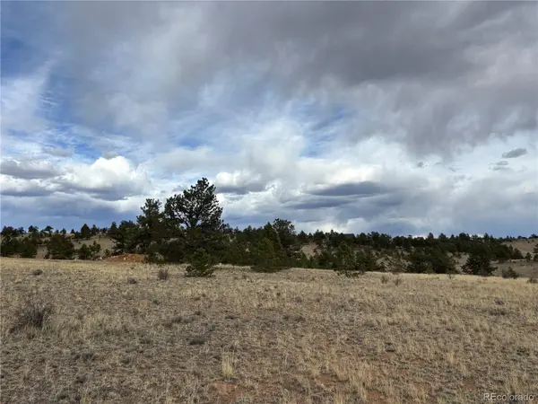 Hiawatha CIR, Hartsel, CO 80449