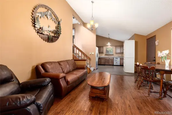 65 Silver Springs RD, Bailey, CO 80421