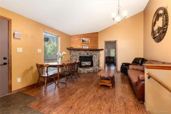 65 Silver Springs RD, Bailey, CO 80421