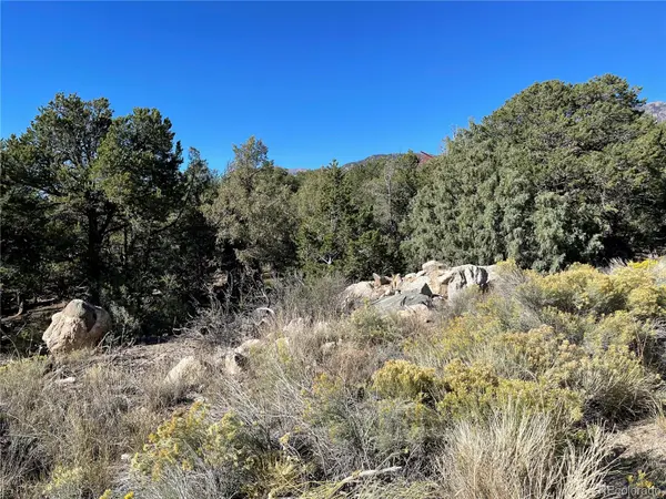 1919 Lone Pine WAY, Crestone, CO 81131