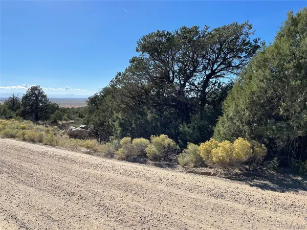 1919 Lone Pine WAY, Crestone, CO 81131