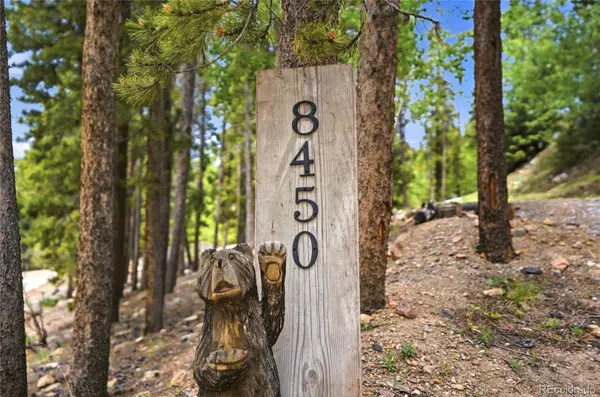 8450 London LN, Conifer, CO 80433