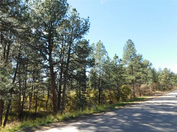 682 Copper Fox PL, Larkspur, CO 80118