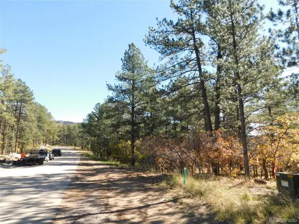 682 Copper Fox PL, Larkspur, CO 80118