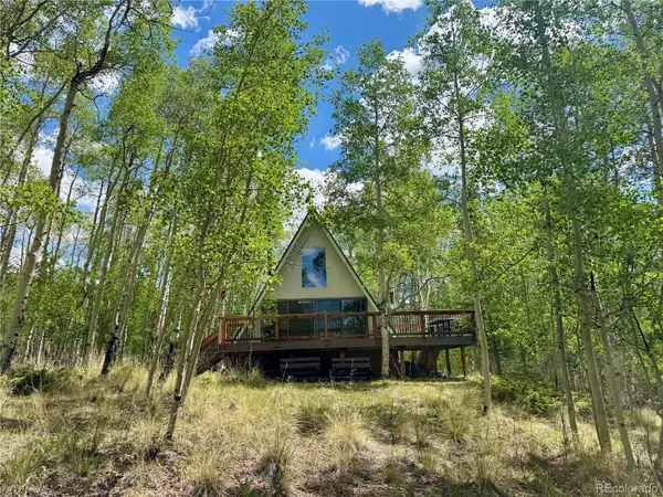 206 Empire CIR, Leadville, CO 80461