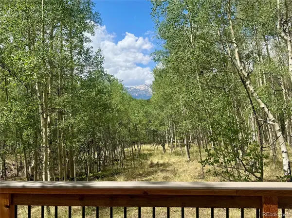 206 Empire CIR, Leadville, CO 80461