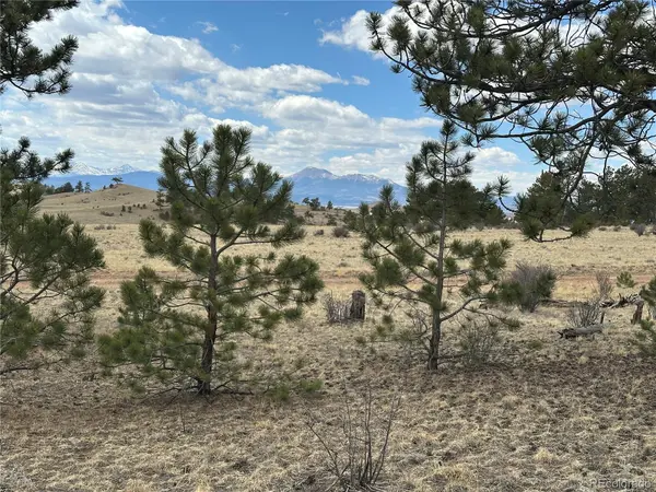 Chicha RD, Hartsel, CO 80449