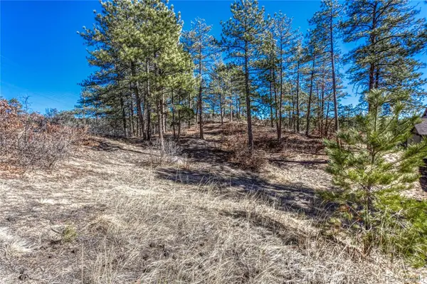 2111 Ramblewood CT, Castle Rock, CO 80104
