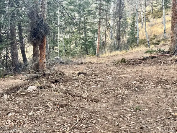 Ryland RD, San Luis, CO 81152