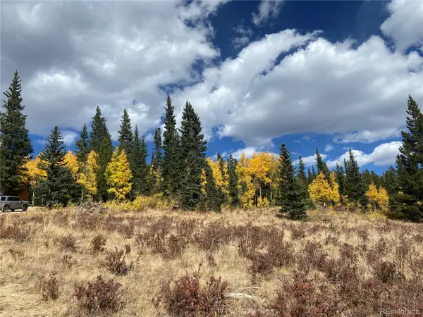 1180 Zebulon ST, Alma, CO 80420