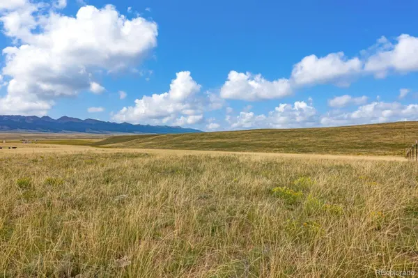 2015 Kit Carson RD, Westcliffe, CO 81252