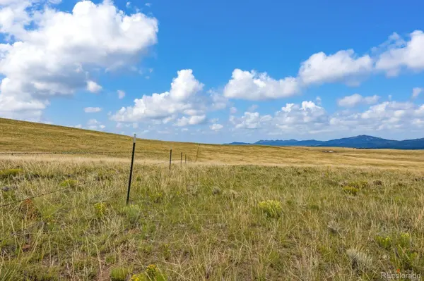 2015 Kit Carson RD, Westcliffe, CO 81252