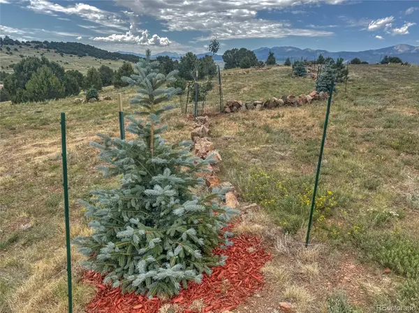 TBD Lot 21 Kiowa RD, Westcliffe, CO 81252