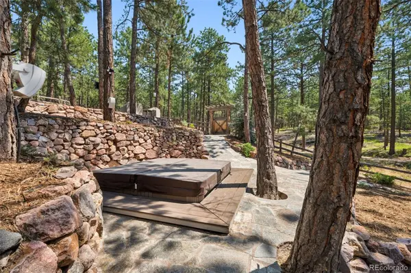 15765 Pineycove CT, Colorado Springs, CO 80921