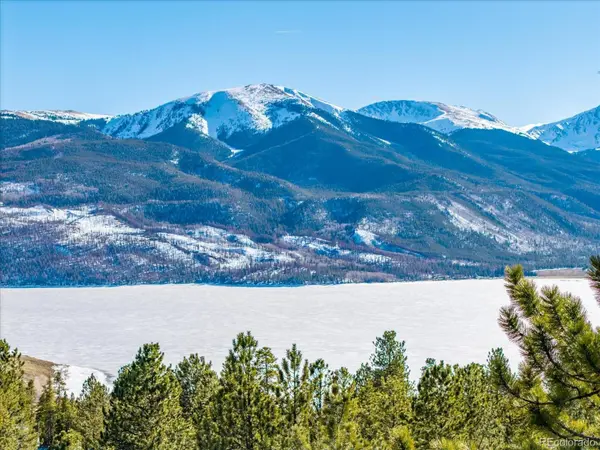 123 La Plata Peak DR, Twin Lakes, CO 81251