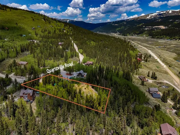 522 Quartzville RD, Alma, CO 80420