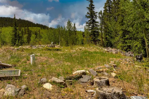 522 Quartzville RD, Alma, CO 80420