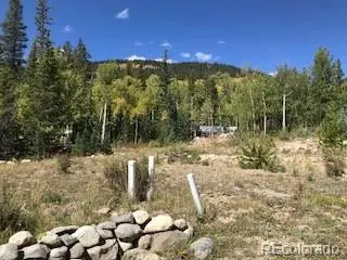 522 Quartzville RD, Alma, CO 80420