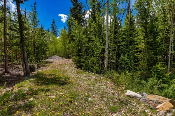 522 Quartzville RD, Alma, CO 80420
