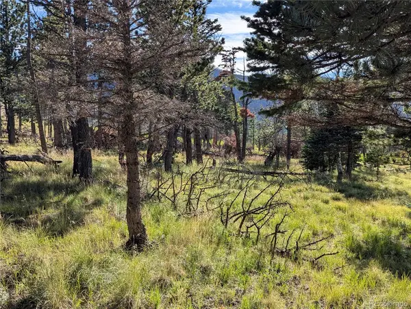 2127 Sigler DR, Fort Garland, CO 81133