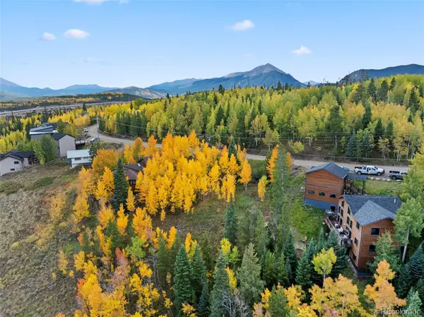 412 Lakeview DR, Silverthorne, CO 80498