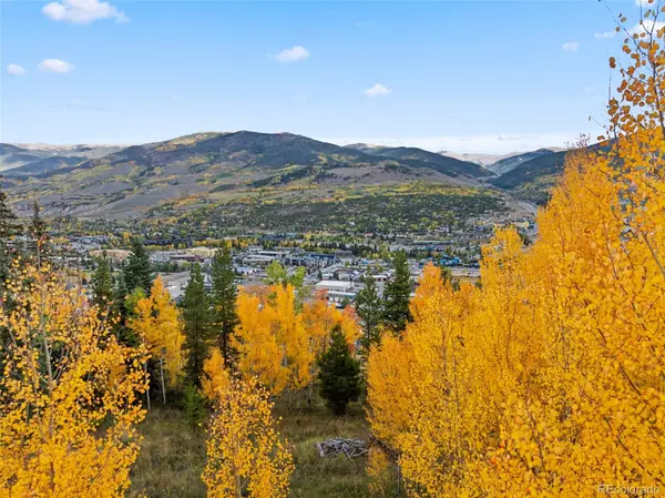 412 Lakeview DR, Silverthorne, CO 80498