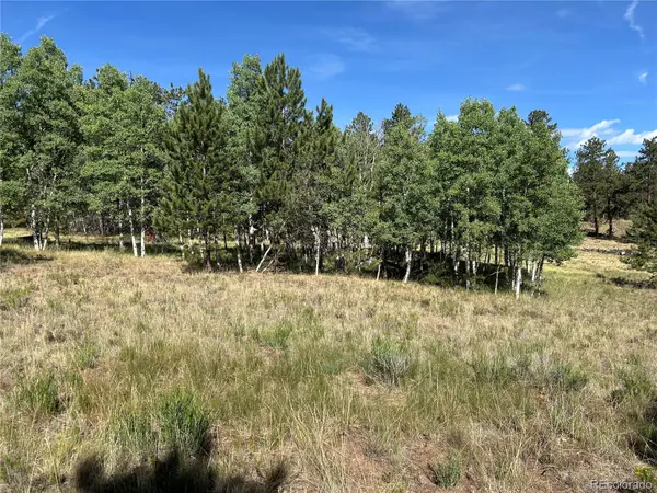 519 Hayhook WAY, Hartsel, CO 80449