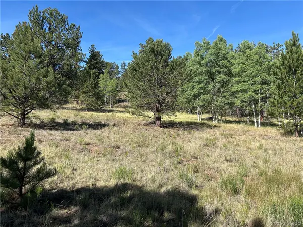 519 Hayhook WAY, Hartsel, CO 80449