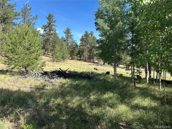 519 Hayhook WAY, Hartsel, CO 80449
