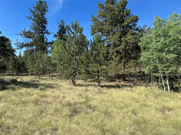 519 Hayhook WAY, Hartsel, CO 80449