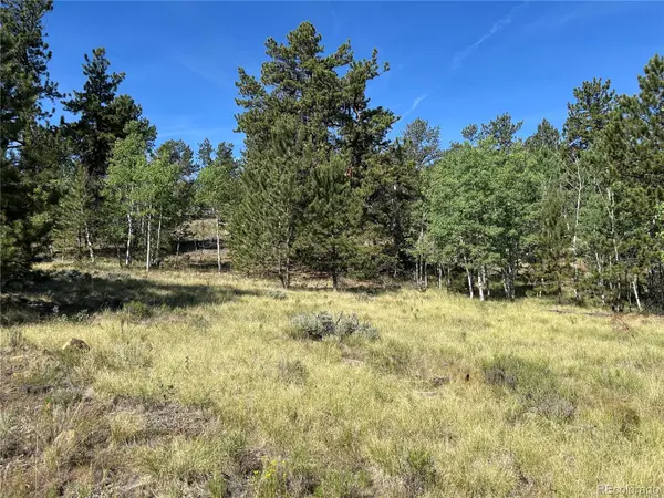 519 Hayhook WAY, Hartsel, CO 80449