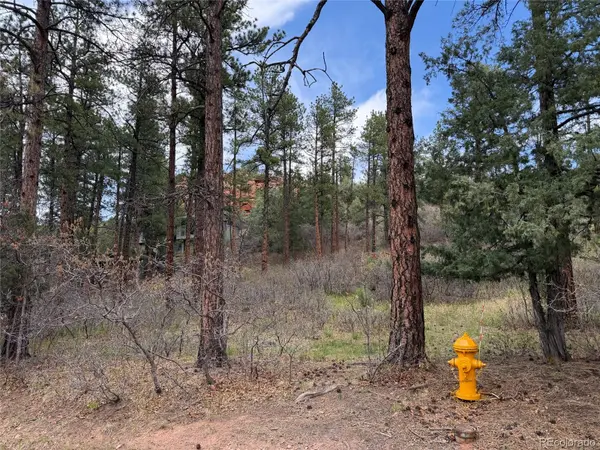 4885 Red Rock DR, Larkspur, CO 80118