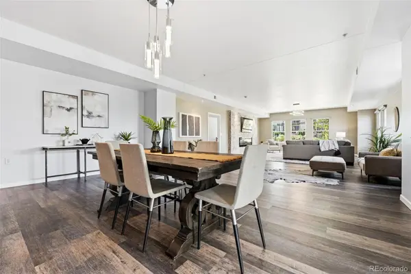 925 N Lincoln ST #5B, Denver, CO 80203