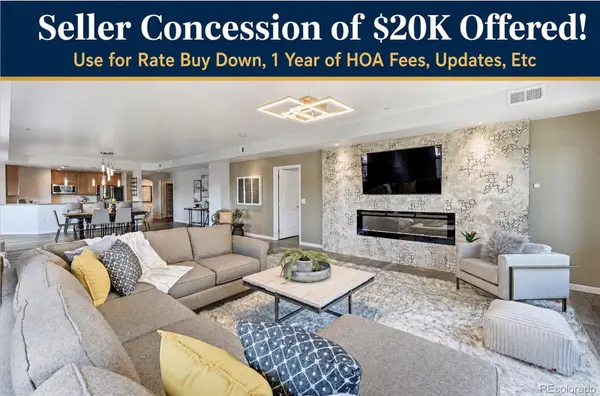 925 N Lincoln ST #5B, Denver, CO 80203