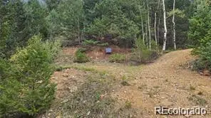 Olympic and Hecla Mines, Dumont, CO 80436