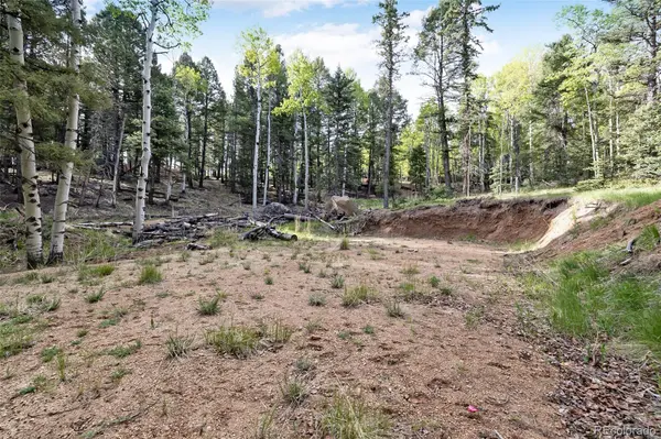 714 Will Stutley DR, Divide, CO 80814
