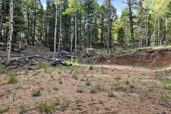 714 Will Stutley DR, Divide, CO 80814