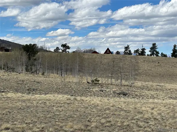 187 Angus CIR, Hartsel, CO 80449