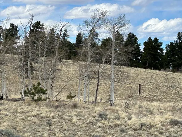 187 Angus CIR, Hartsel, CO 80449