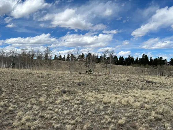 187 Angus CIR, Hartsel, CO 80449