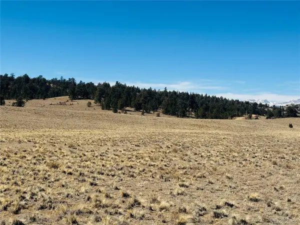 3067 Fitzsimmons RD, Hartsel, CO 80449