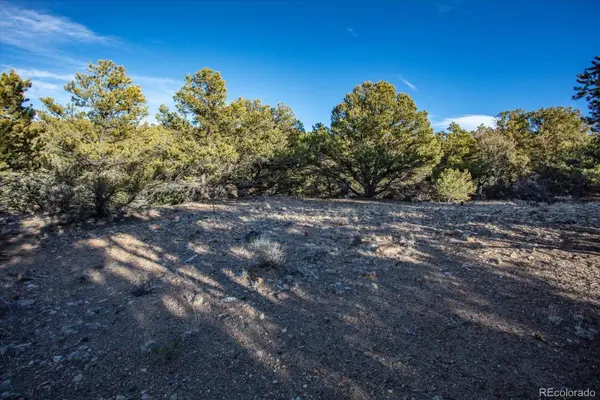 5450 Longbranch RD, Salida, CO 81201