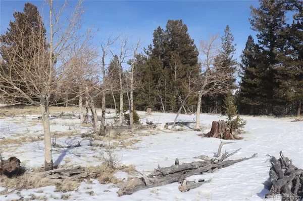 96 Baler CT, Hartsel, CO 80449