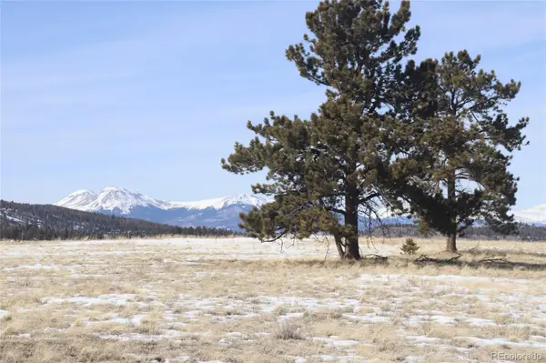 96 Baler CT, Hartsel, CO 80449