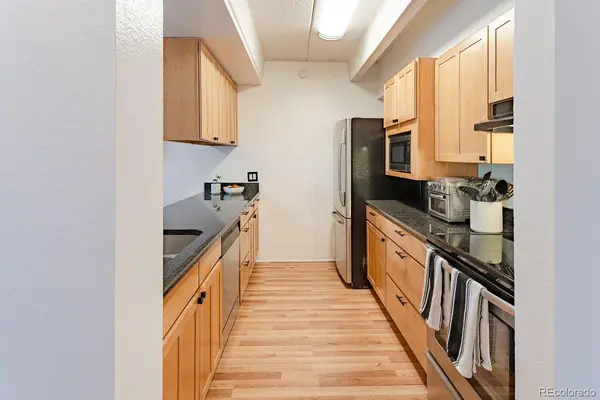 777 N Washington ST #508, Denver, CO 80203