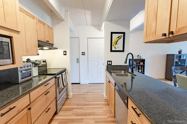 777 N Washington ST #508, Denver, CO 80203