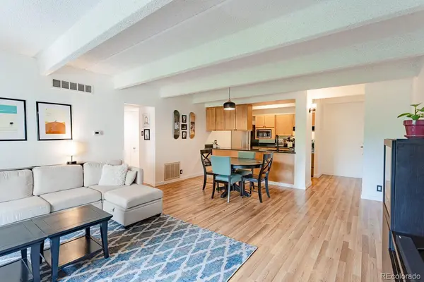777 N Washington ST #508, Denver, CO 80203