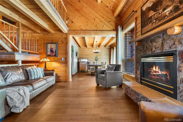 685 Jesse LN, Bailey, CO 80421
