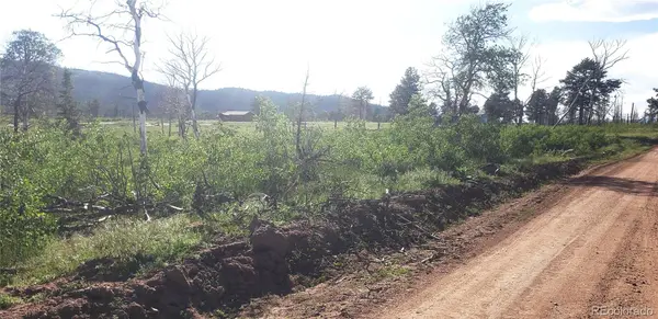 Lot 1406 Emery LOOP, Fort Garland, CO 81133