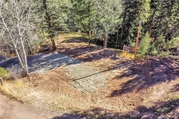 28176 Alabraska LN, Evergreen, CO 80439